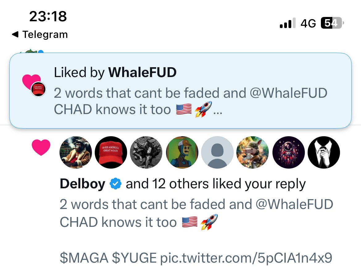 Zib 🌴 ∞ tweet media