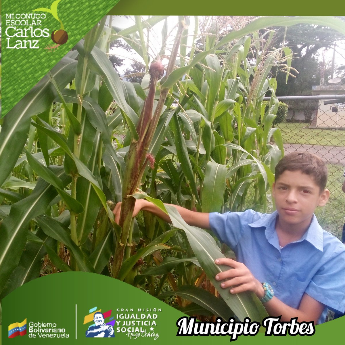 JonathanSa9265's tweet photo. #AfirmativosYPaLante ¡Así es Venezuela! 

PTMS Torbes Va a la Escuela, PTMS continúa impulsando el Programa Vanguardia en las inst. educ. del Mun. Torbes. Sembrando Conciencia Cosechando Futuro. 

@cdcetachira 
@berzabethg1 
@mppeducacion 
@_laavanzadora https://t.co/9ga26gPh6X