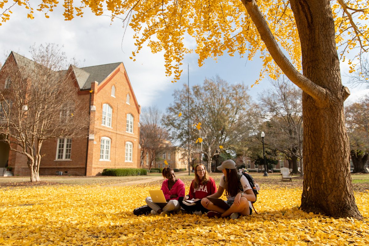 shelbyinst's tweet photo. The Shelby Scholars app. is open to UA students with 60+ completed credit hours. Passionate about policy and public service but going into your senior year or studying abroad? Not a problem. We are looking for exceptional students, regardless of their time left on campus. https://t.co/AHKgPp3ISK