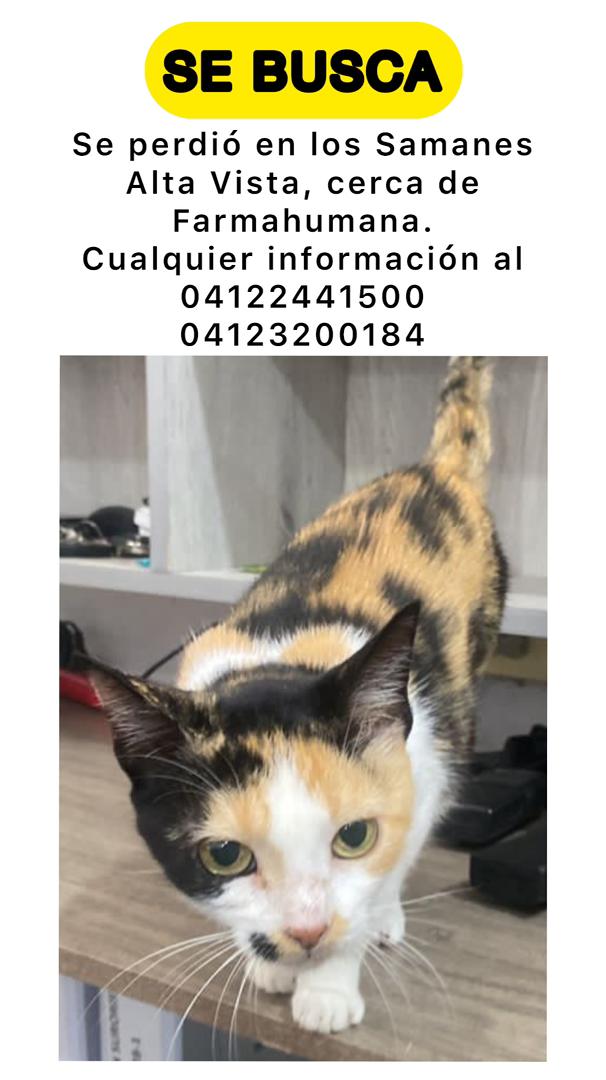 Carlos Guillén tweet media