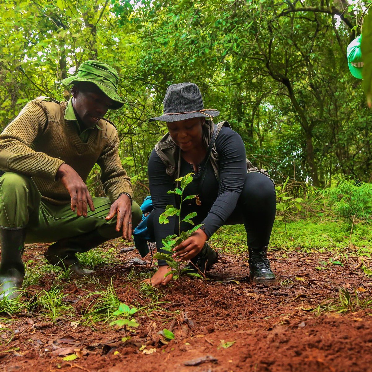 Newsbae's tweet photo. This #WorldEnvironmentDay let's focus on land restoration & resilience. Together with @AWF_Official #CLMF colleagues, we planted trees at @NgongRdForest I Named my tree "Zimbabwe" & I’m eager to see it’s healthy growth!#conservation #sustainability https://t.co/0Aar9jxwNf