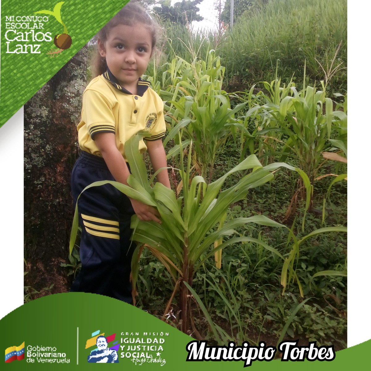 JonathanSa9265's tweet photo. #AfirmativosYPaLante ¡Así es Venezuela! 

PTMS Torbes Va a la Escuela, PTMS continúa impulsando el Programa Vanguardia en las inst. educ. del Mun. Torbes. Sembrando Conciencia Cosechando Futuro. 

@cdcetachira 
@berzabethg1 
@mppeducacion 
@_laavanzadora https://t.co/9ga26gPh6X