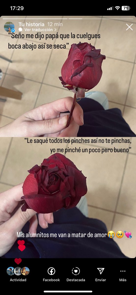 Comparto por acá también porque no puedo creerlo. Primera vez que me regalan flores y fue mi alumno de 7 años😭😭💘💘💘💘