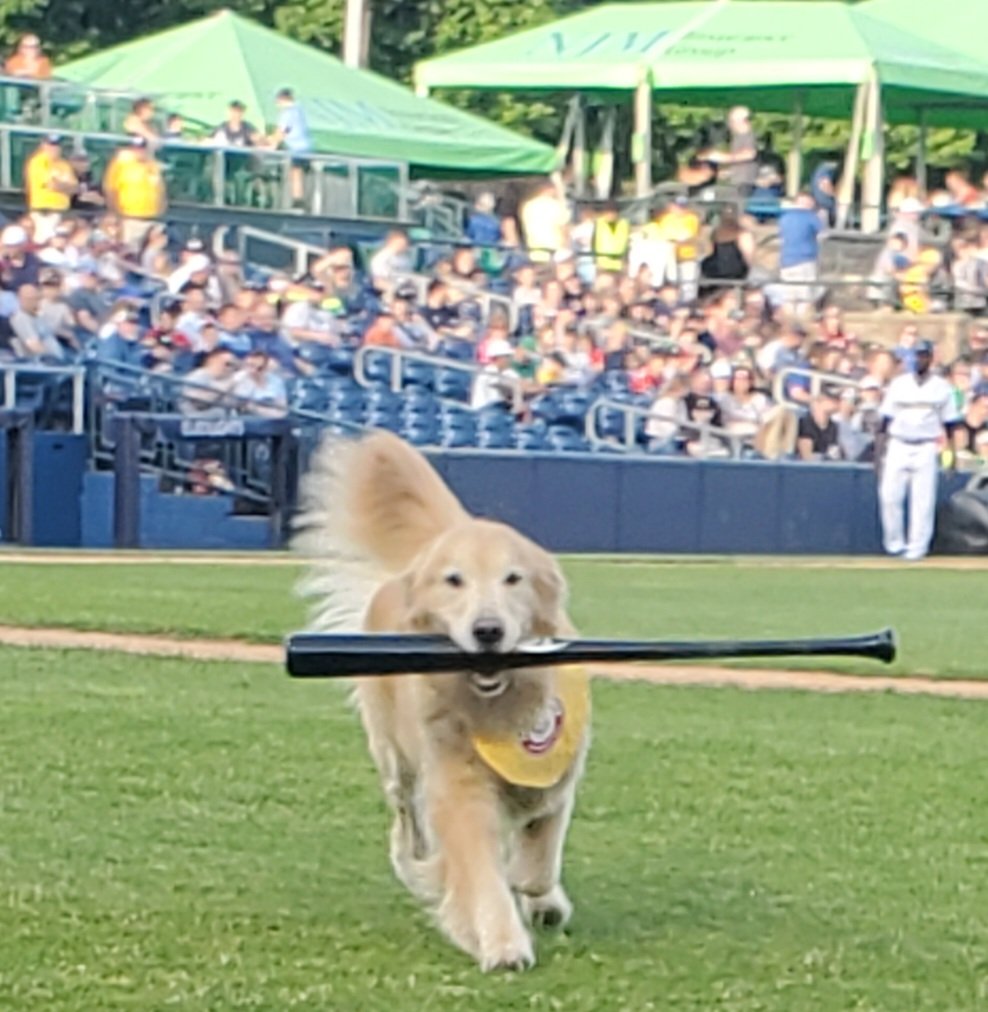 BatdogRookie tweet picture