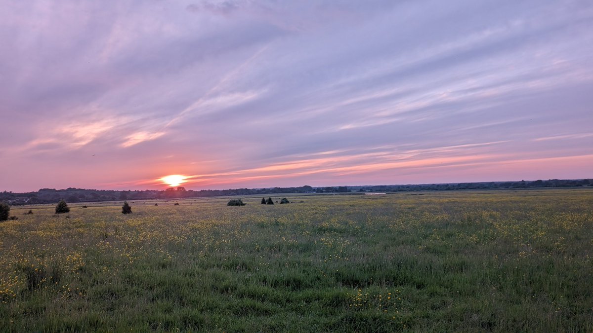 Late to the party but a pretty good way to open my account on <a href="/BashTheBug/">Bash The Bug</a> run/walk/cycle 4000k (the number genes in TB apparently) <a href="/ModMedMicro/">ModMedMicro</a>. Won't be winning prizes for speed or distance, but might be in with a chance for best run view?