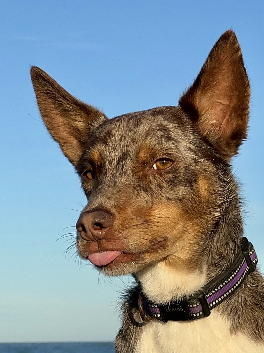 Mum askeds me to smile for the camera. She even said CHEESE but I know she didn’t has any, so instead I dids THIS! 😜🤭 #TooKoolforSkool #kooliegans
