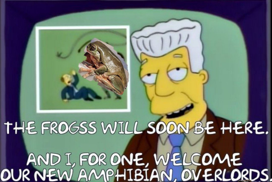 Joe Chavez tweet media