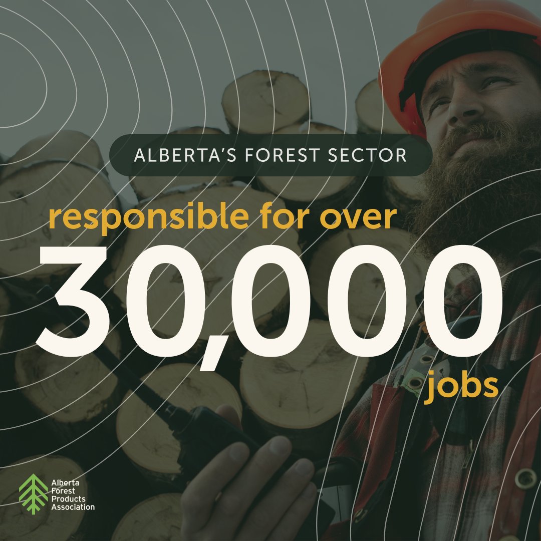 albertaforests's tweet image. 30,000+ jobs and counting! Alberta's forest sector is a vital part of our community and economy. 🌲💼
#ForestryFacts #AlbertaJobs #AlbertaForestry