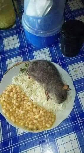 EduStr0ng's tweet photo. @EversonZoio Desafio tu comer uma refeição dessa https://t.co/zNWGI4FUOy
