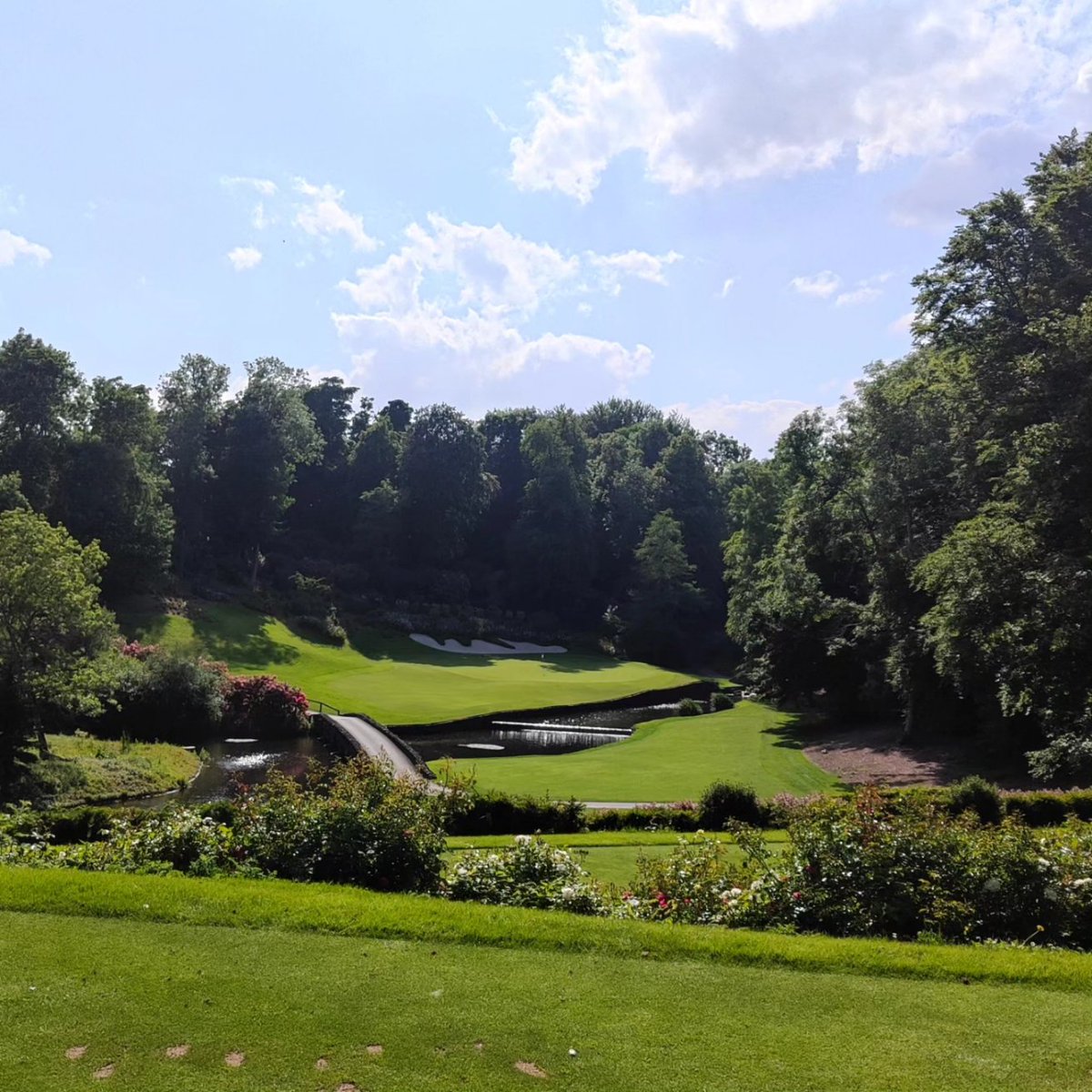 Eamonn O Donnell tweet media