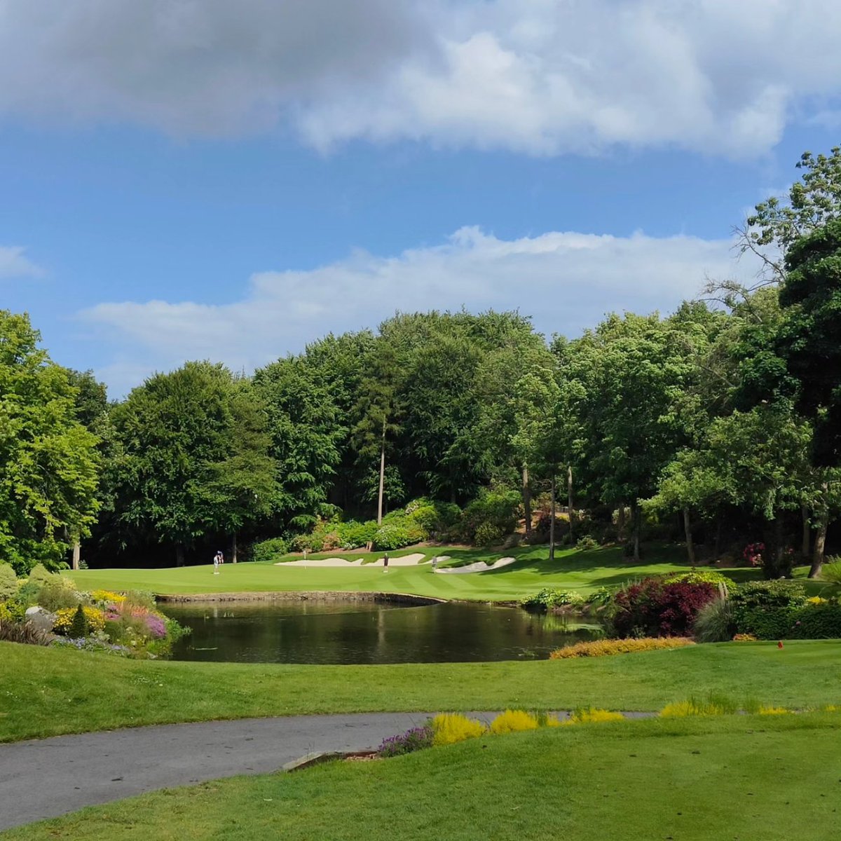 Eamonn O Donnell tweet media