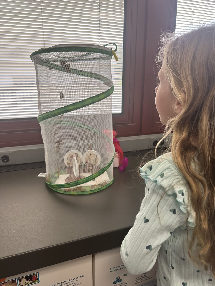 Alexa Booth tweet media