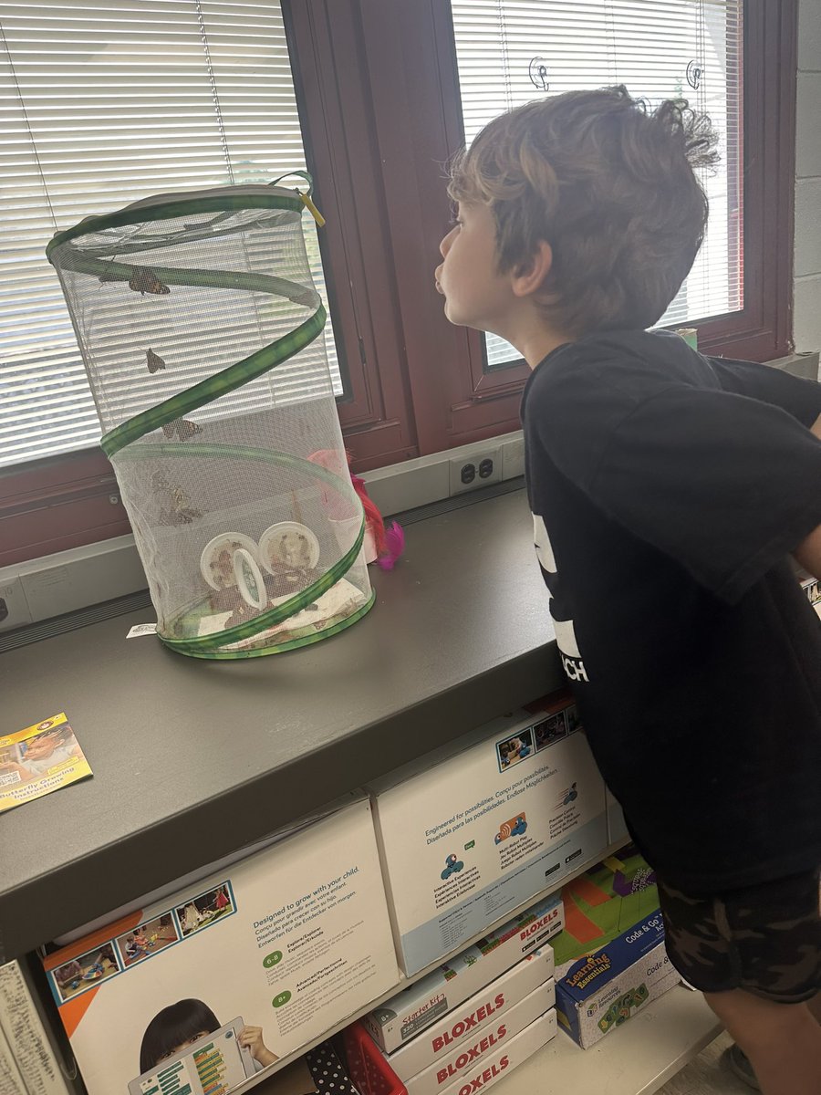 Alexa Booth tweet media