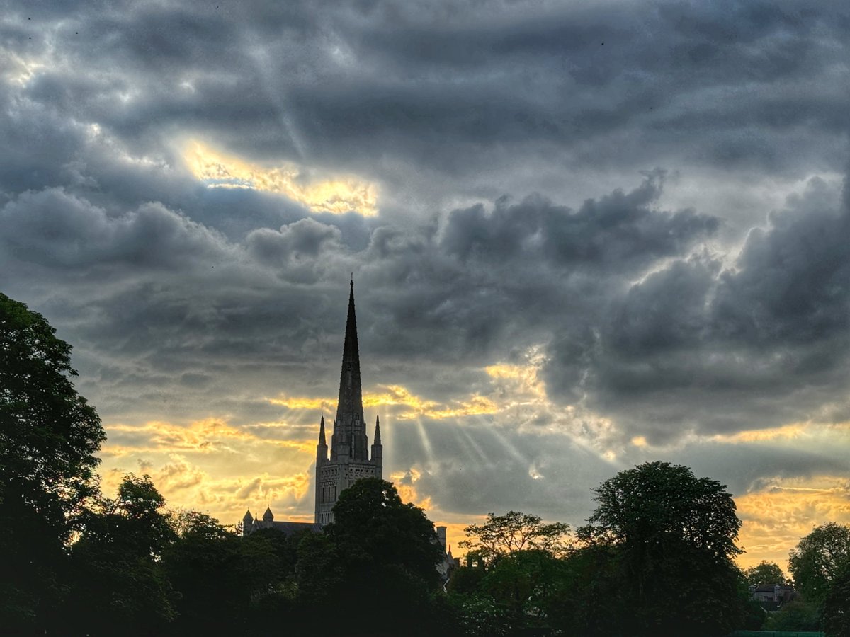 MyriadPhoto 📷 tweet media