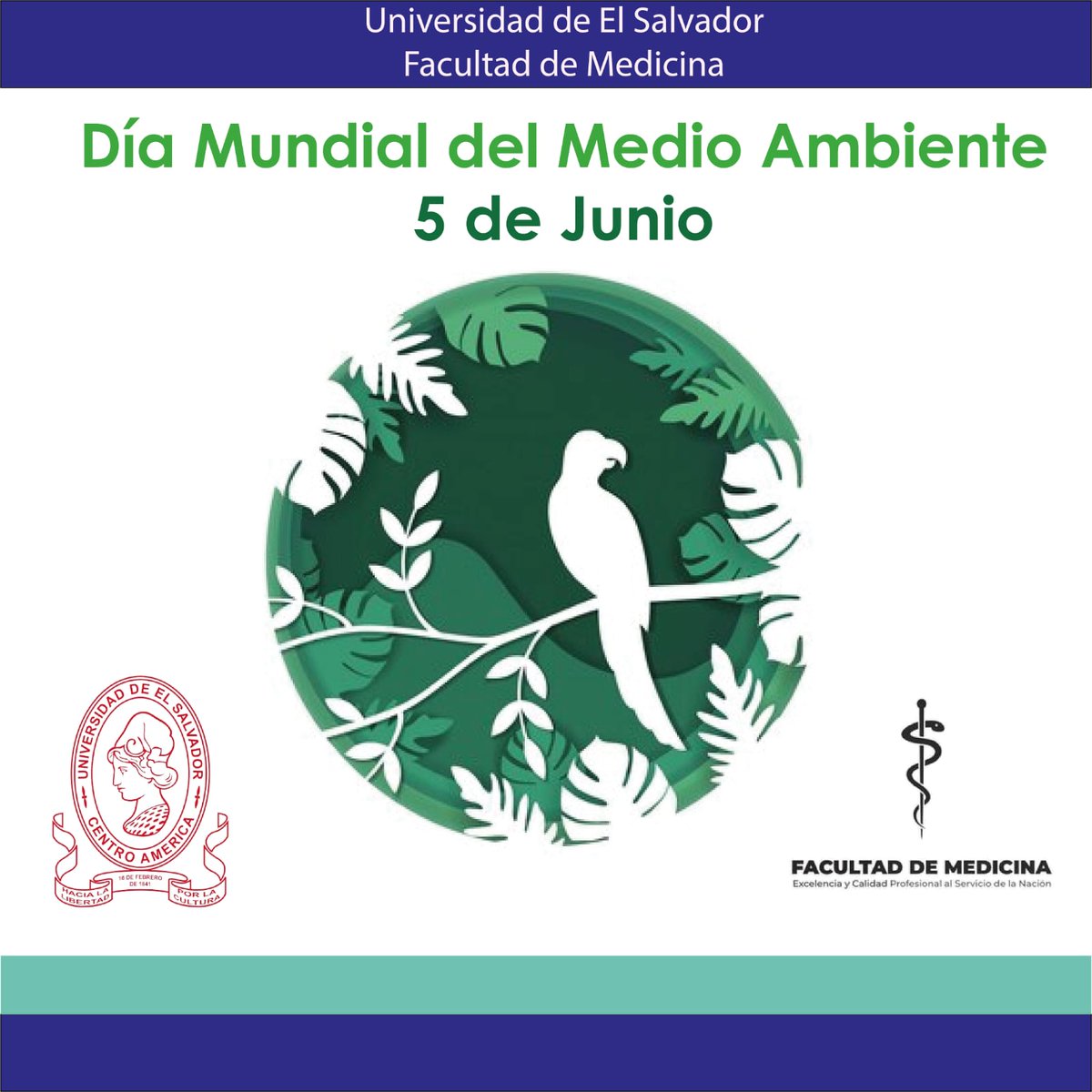 📸DÍa mundial del medio ambiente! 🌍

📅Es una fecha especial impulsada por la <a href="/ONU_es/">Naciones Unidas</a> con la idea de generar conciencia y sensibilidad acerca del cuidado de la naturaleza, y también para visibilizar el daño que le hacemos al mundo con nuestras acciones.