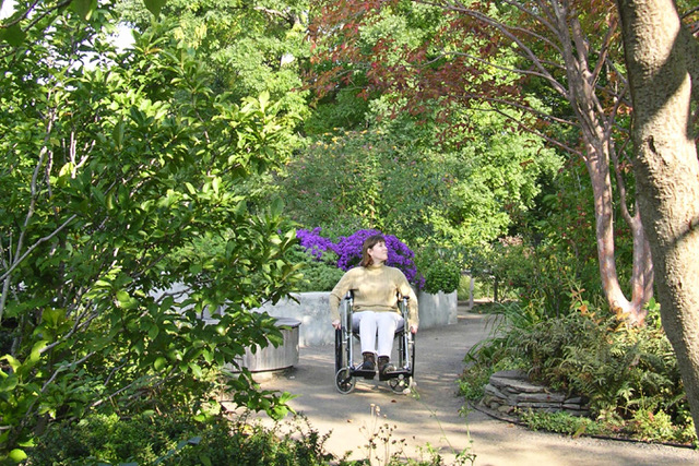 IHCDesign tweet media