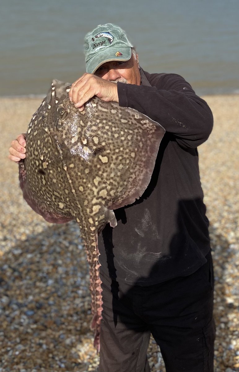 SnowdogMikey's tweet photo. Still catching some stunning #thornbackrays when the dogfish don’t get there first. https://t.co/4jv2IfsqQZ