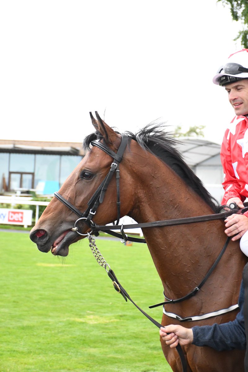 PCequinephoto's tweet photo. Salah Belle trained by @sheilalavery is a winner @curraghrace 5/6/24 https://t.co/TxU5QnXoST