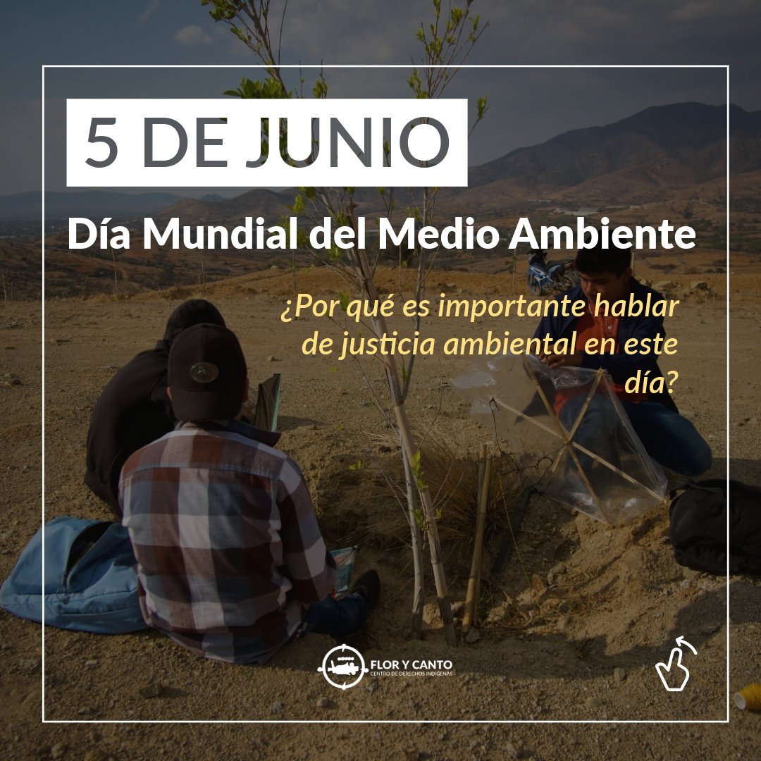 FloryCantoac's tweet photo. En el #DíaMundialDelMedioAmbiente, te compartimos algunas reflexiones fundamentales para hacer consciencia sobre la relación entre la justicia y el medio ambiente. 

Conoce más en el siguiente post 👇 https://t.co/1SryjXxh8F
