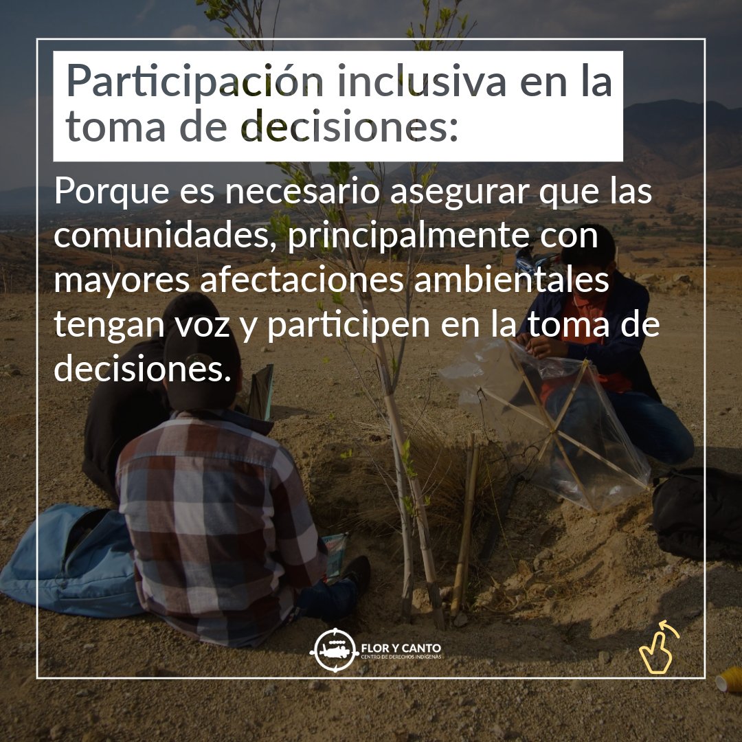 FloryCantoac's tweet photo. En el #DíaMundialDelMedioAmbiente, te compartimos algunas reflexiones fundamentales para hacer consciencia sobre la relación entre la justicia y el medio ambiente. 

Conoce más en el siguiente post 👇 https://t.co/1SryjXxh8F