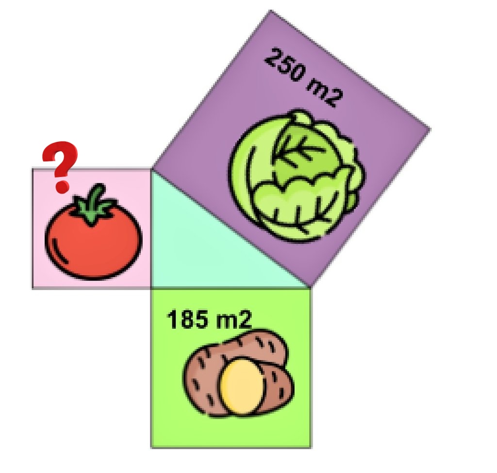 Relfon Ram tweet media