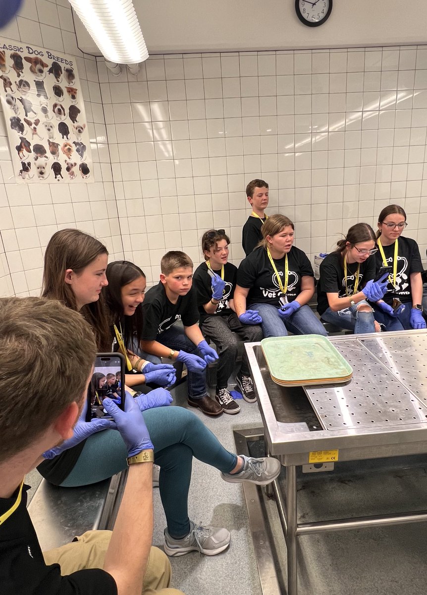 BoilerVetCamp's tweet photo. #teampig and #teamfish watching a necropsy and learning more about pathology. I think their faces speak for themselves 😉🤓 #pathologyisawesome #futurepathologists https://t.co/7zhG42bGkt
