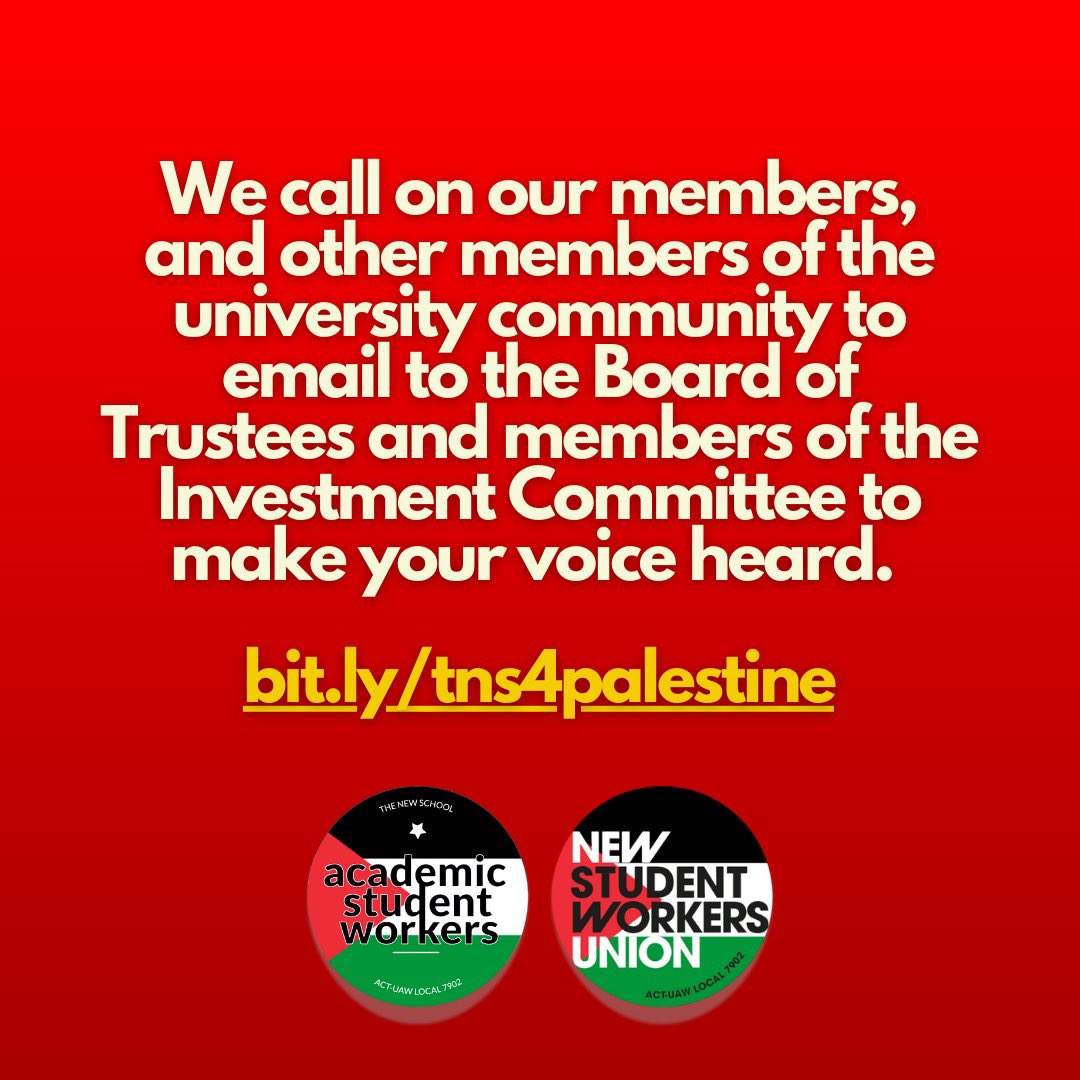 🔗 bit.ly/tns4palestine ✍️✍️✍️
