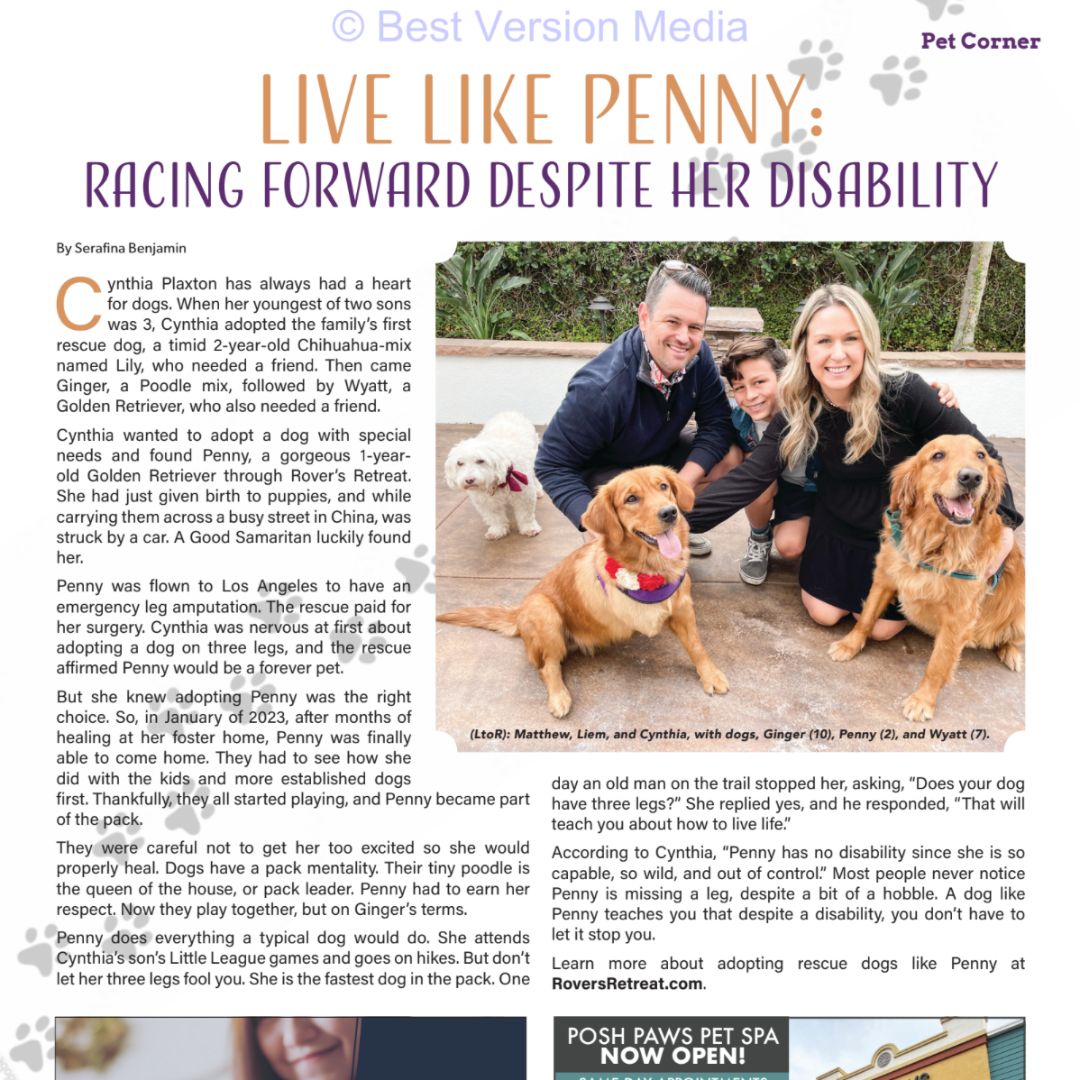 For the Ladera Ranch Neighbors Magazine this month, I enjoyed interviewing a young sportscaster in the making and a biped Golden Retriever rescue dog with a heart of gold. Read the story here: drive.google.com/file/d/18Ke9gt…

#pets #kids #laderaranch #magazine #writerforhire #freelancer