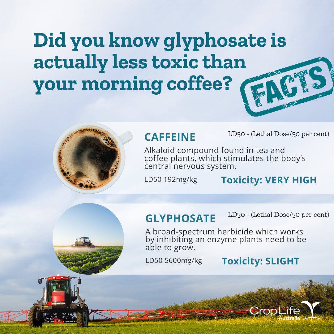 CropLifeOZ's tweet photo. It may be hard to believe but caffeine is over 10 times more toxic than #glyphosate. Does that mean we should stop drinking coffee? Of course not! This is because the daily dose of caffeine is not high enough to have toxic effects. Read more: https://t.co/EPtoJsDvjt https://t.co/p5jqWo3siL