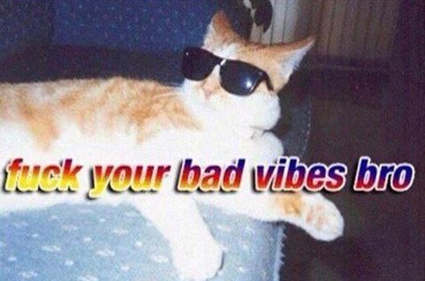 Stoner_Help's tweet photo. Shouldn't you be doing work instead of smoking weed? https://t.co/4bdRfowt1Z