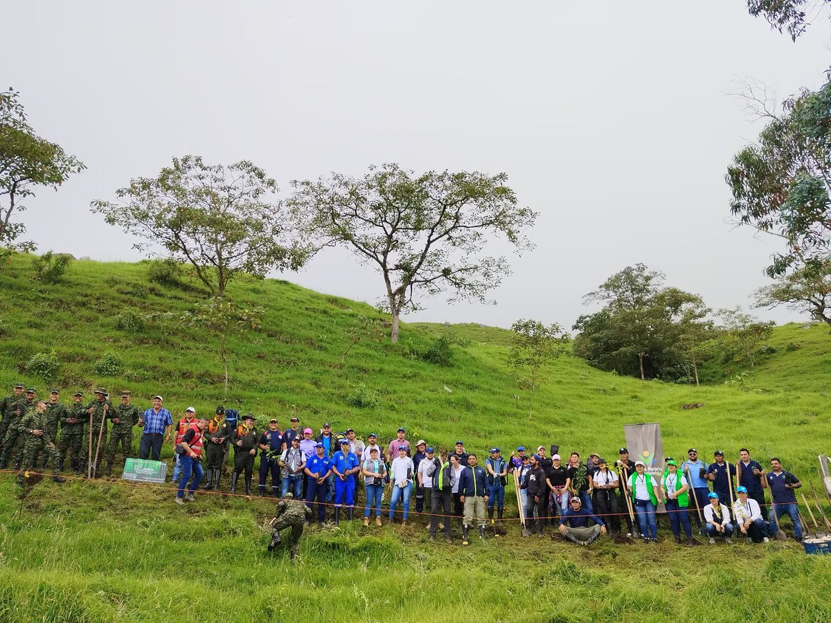 📍Pacho | Más de 80 personas se unieron a la plantación de 1.000 árboles de 16 especies nativas en la vereda Negrete de Pacho. Con esta acción aportamos a la preservación del medioambiente. 

🫱🏻‍🫲🏼🌳 En los territorios y con las comunidades somos agentes de transformación.