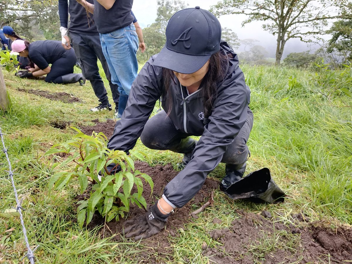 CAR_Cundi's tweet photo. 📍Pacho | Más de 80 personas se unieron a la plantación de 1.000 árboles de 16 especies nativas en la vereda Negrete de Pacho. Con esta acción aportamos a la preservación del medioambiente. 

🫱🏻‍🫲🏼🌳 En los territorios y con las comunidades somos agentes de transformación. https://t.co/1sHawmMEWS