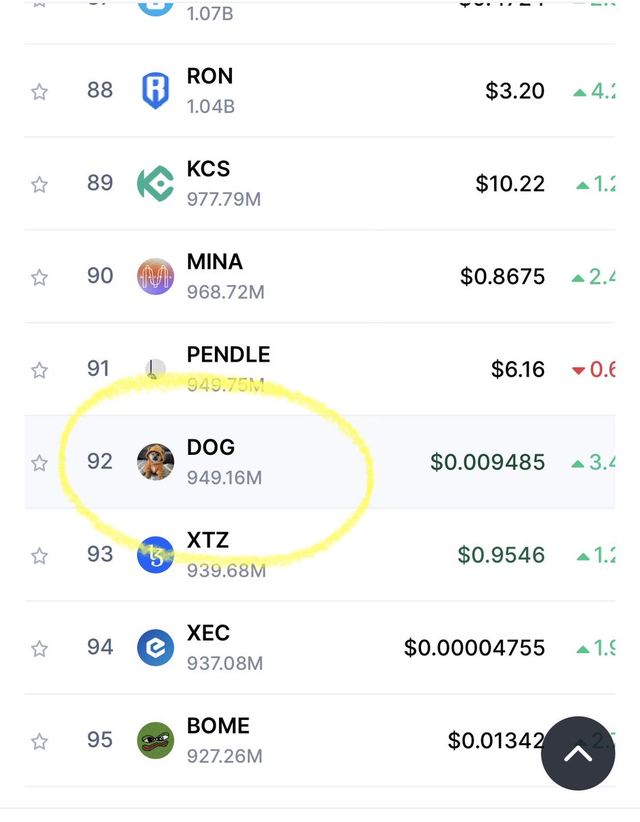 #dog 🚀 escalando o marketcap