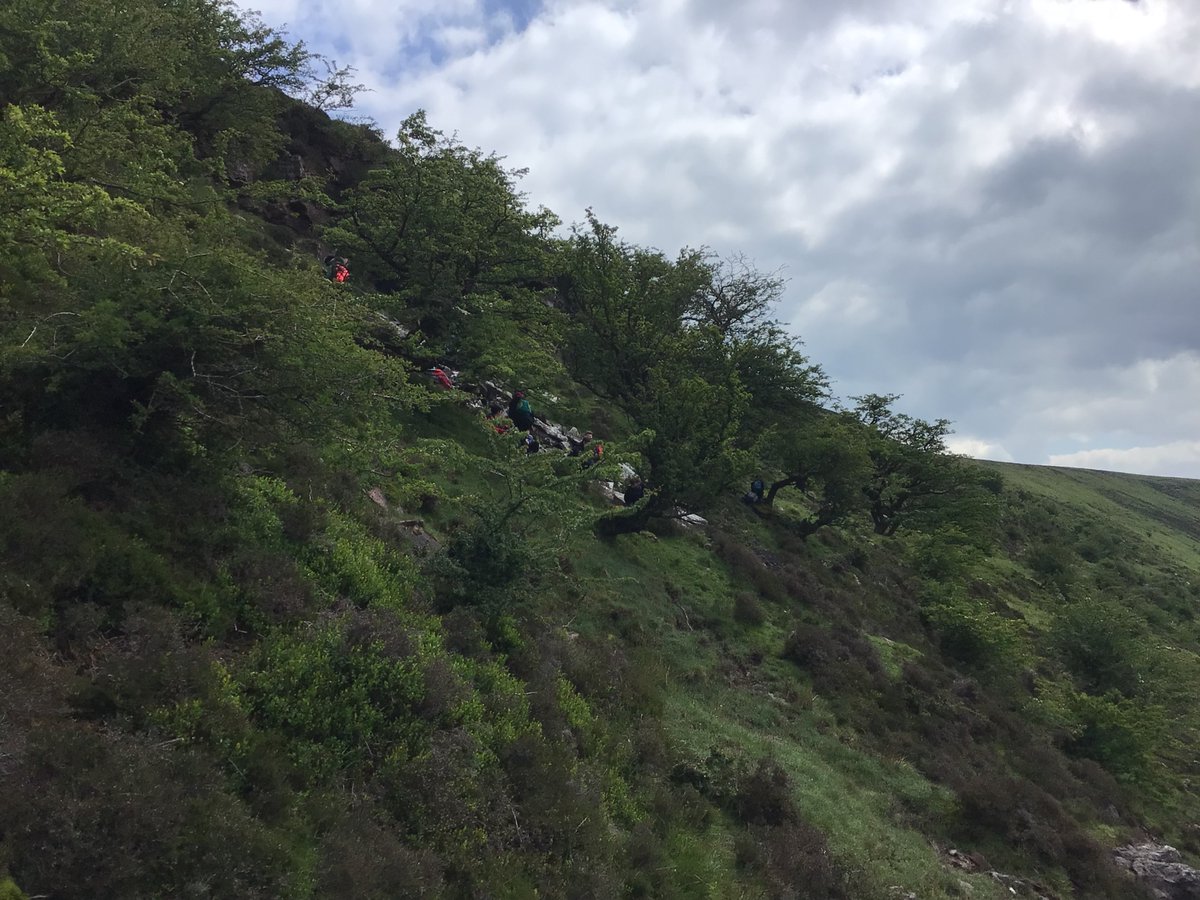 Garway School tweet media