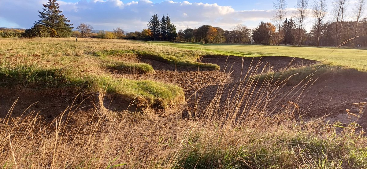 john_gkeeping💚 tweet media