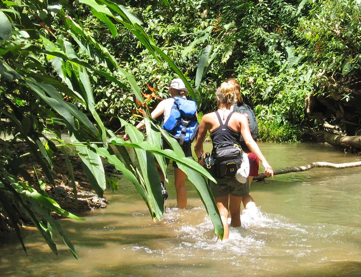 Since the late 1980s, Costa Rica has become a top spot for nature lovers. The reason? 23% of the country is made up of national parks which holds the record for the largest percentage of a country's territory to be protected in the world.