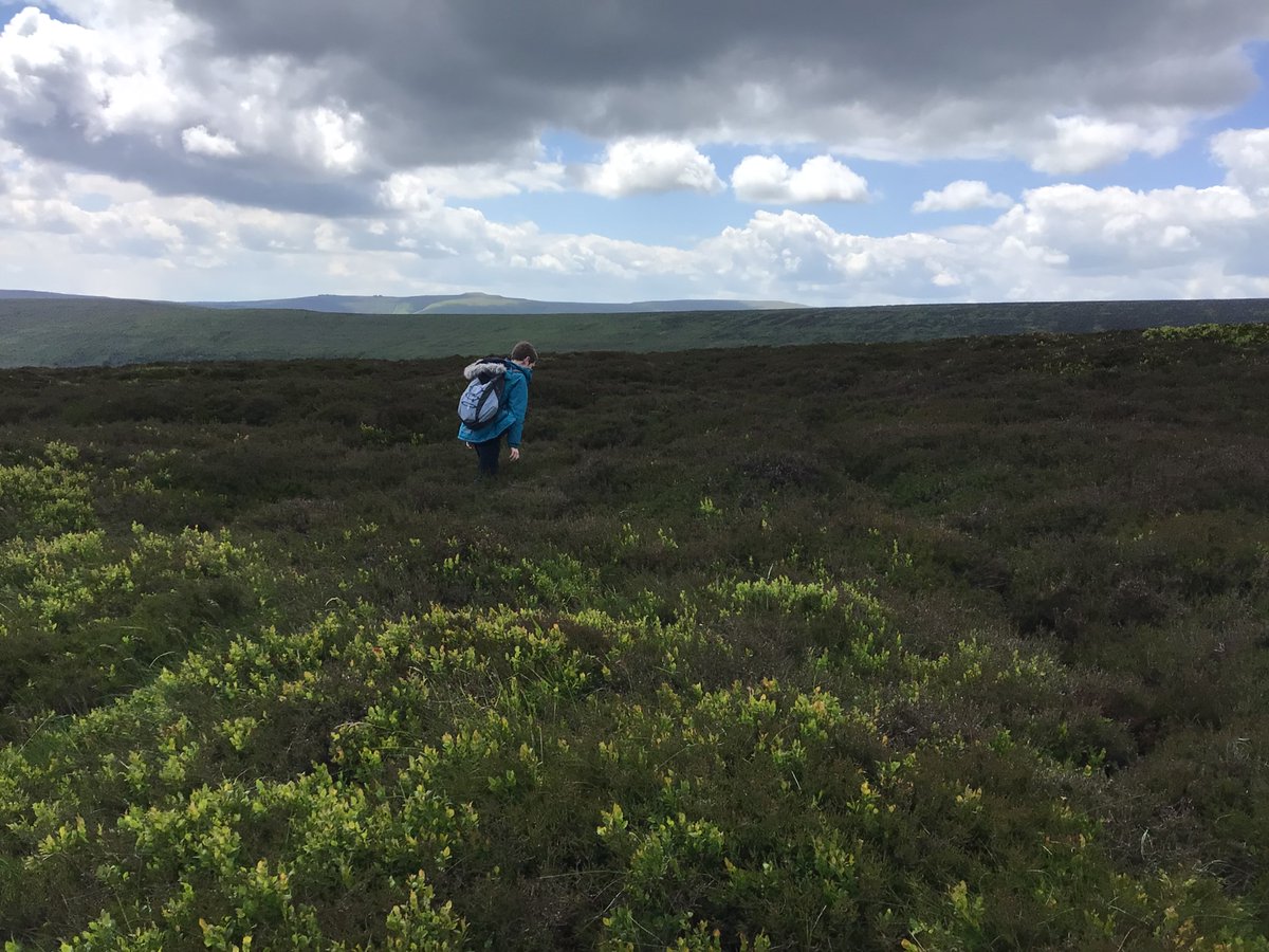 Garway School tweet media