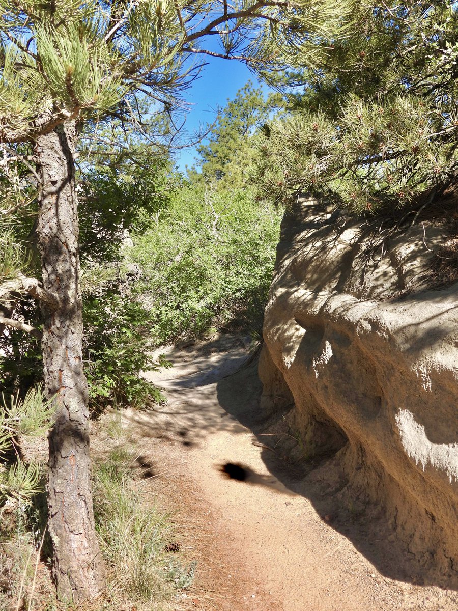 🇺🇦Didi 2. #IStandWithUkraine tweet media