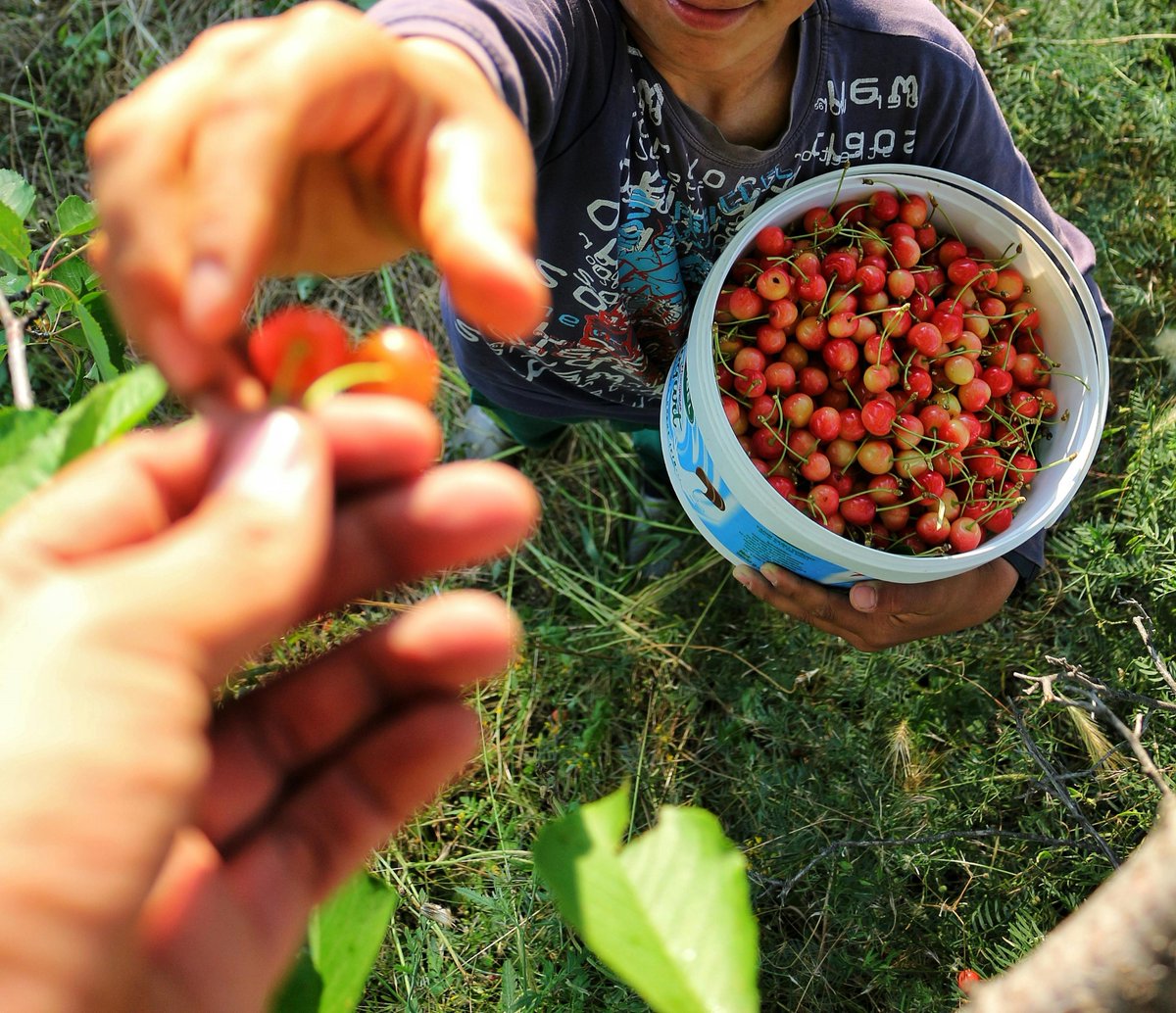 Fortney & Scott LLC tweet media