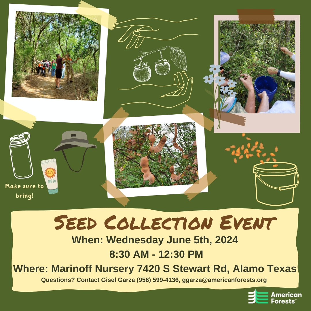 I am super grateful to our Rio Grande Valley community for showing up to collect seeds in 3 digit temperatures! Another successful <a href="/AmericanForests/">American Forests</a> Thornforest seed collection event in the books &amp; many more to come!