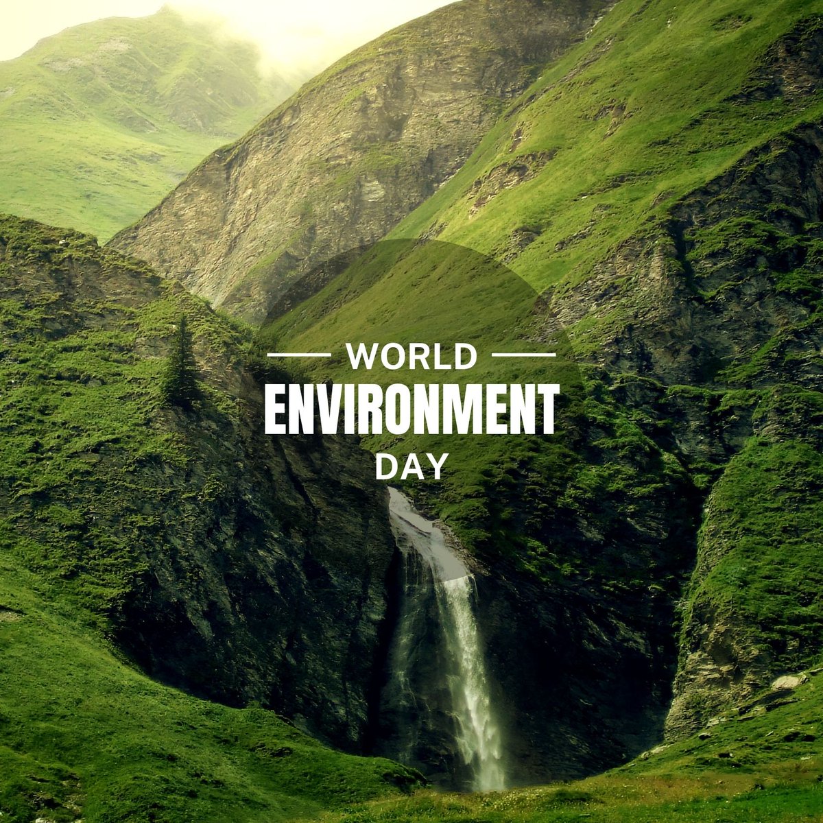 ProgramCoordin3's tweet image. Happy #WorldEnvironmentDay! This year's theme is focused on land restoration, desertification and drought resilience, with the slogan "Our land. Our future. We are #GenerationRestoration".
#monroemichigan