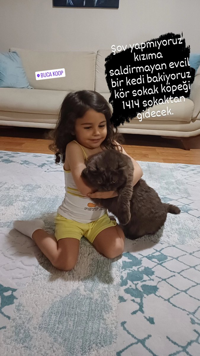 onur_ugur's tweet photo. #bucakoop #buca 1414 sokakta bulunan kör kopek kızıma saldırıyor köpeğe bakan şahıs soh yap ma demiş al.sana cevap emniyeti al köpeğe bakıyorsan yakında seni kopek barınağına kapatırlar bu kafayla gittiğin için kızım o sokak köpeğinin daha değerli @BucaBld göreve hizmete rcaedrm https://t.co/EsMGvwcuBT