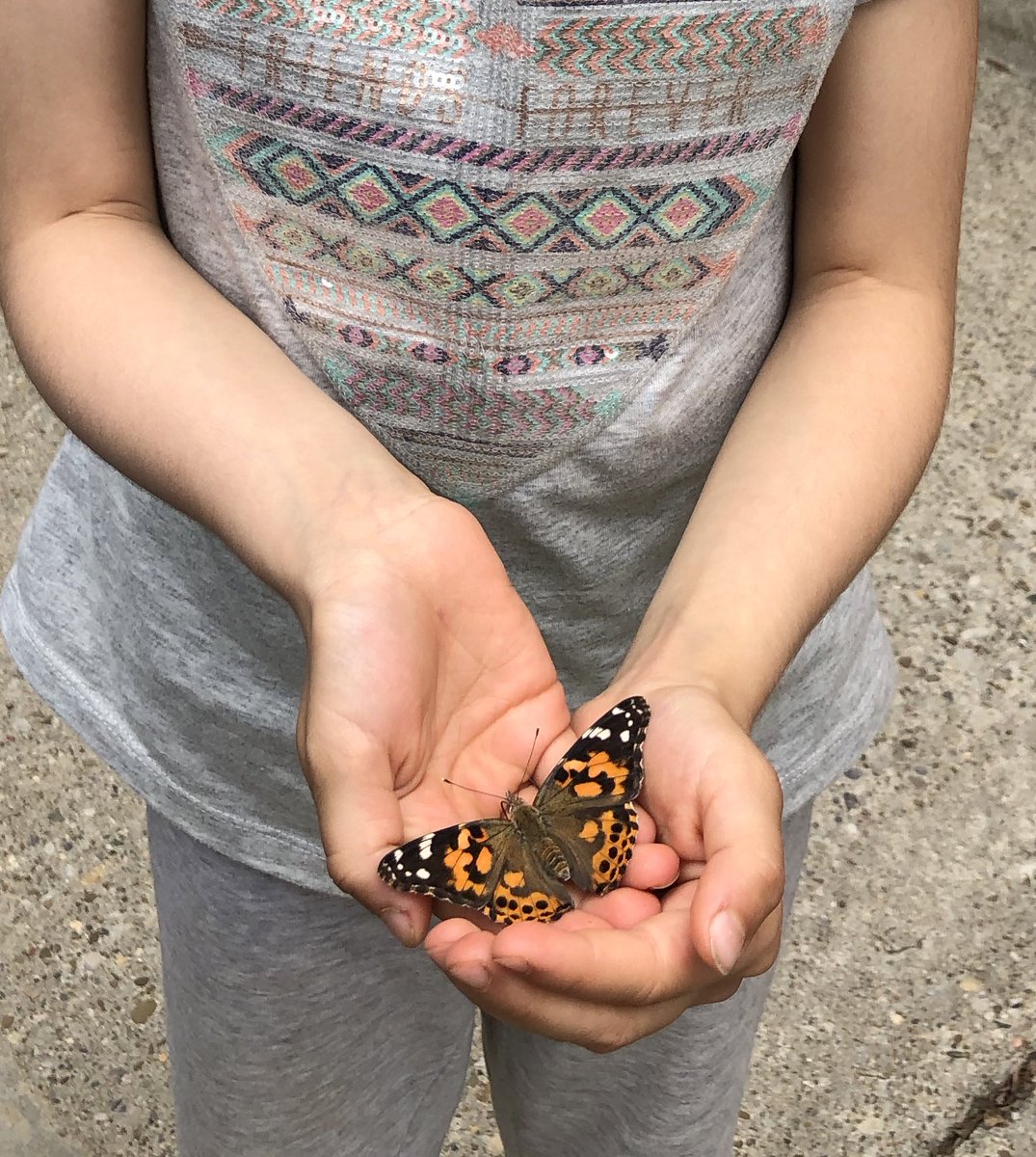 MsKaraoulis tweet media