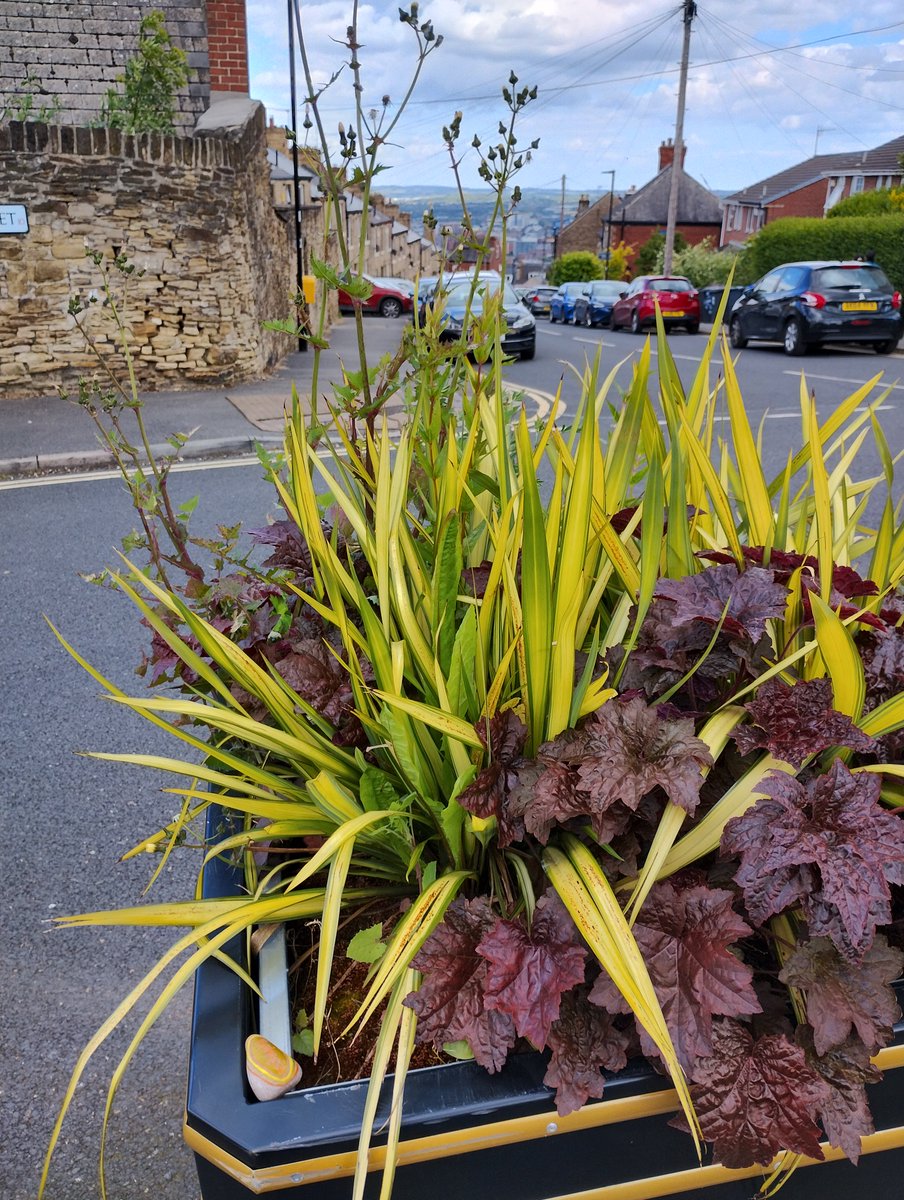 We left today's <a href="/RockingAphasia/">Rocking Aphasia</a> stone on a plant pot with a view. Hope someone finds it on their school run 😊 #AphasiaAwarenessMonth #RockingAphasia
