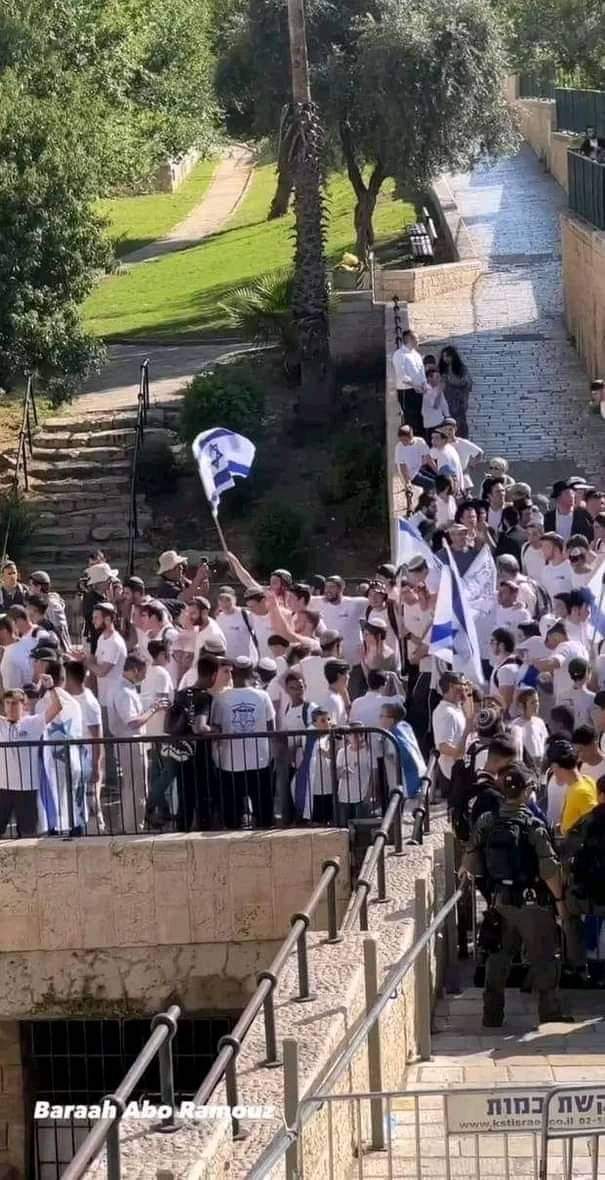 NagatRefaa2423's tweet photo. مالي أرى العالم صامتًا، ومسرى نبينا يُدنس!💔

#فلسطين #غزة #gaza #الأقصى #القدس_عاصمة_فلسطين #القدس https://t.co/ofDh0aogkm