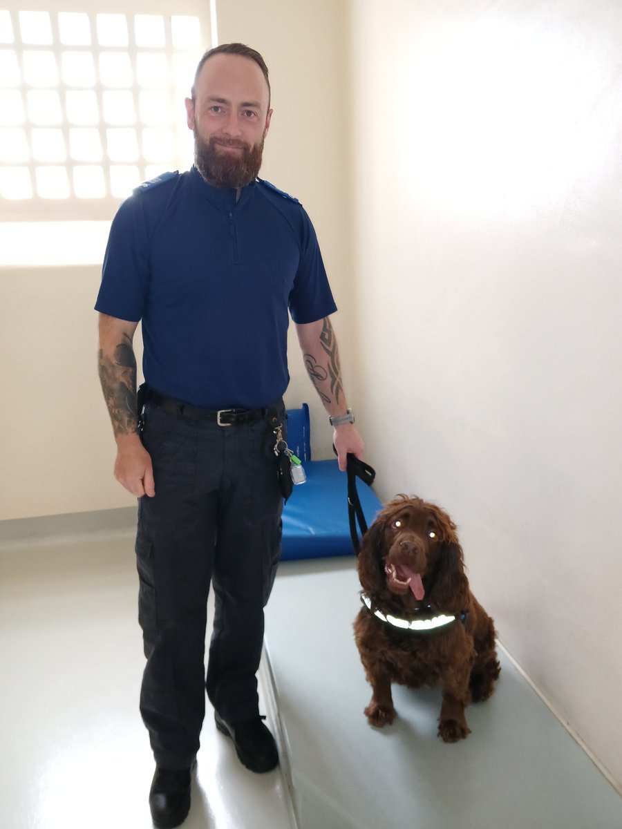 Henley and his friend had a stint in custody today, both were free to go! <a href="/OscarKiloNine/">OscarKilo9</a> #ok9 tvp wellbeing dogs #aylesbury custody visit