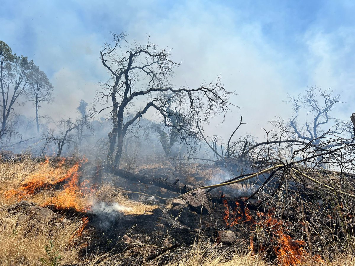 CAL FIRE LNU tweet media