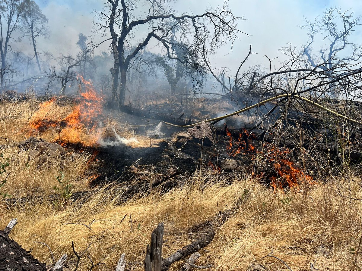 CAL FIRE LNU tweet media