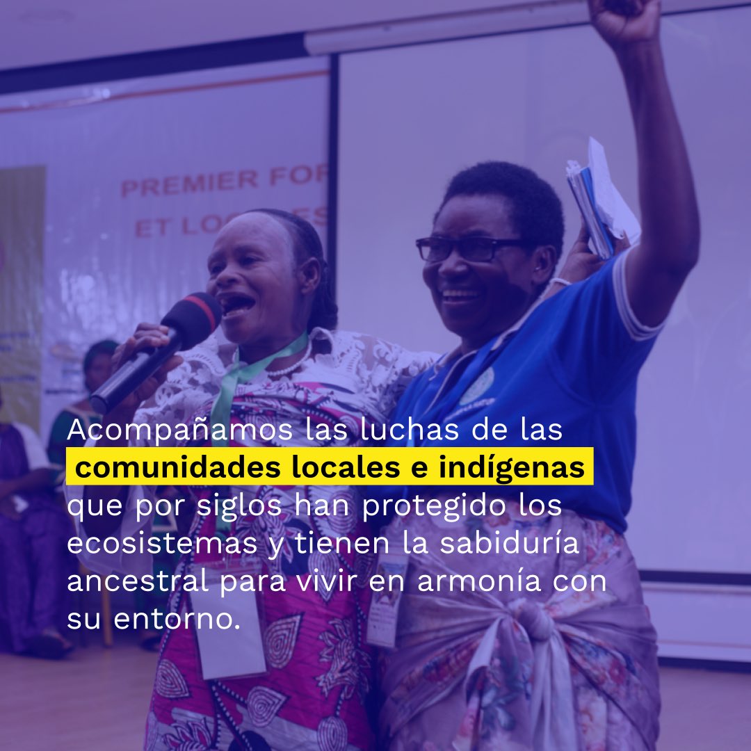 Movilizatorio tweet media