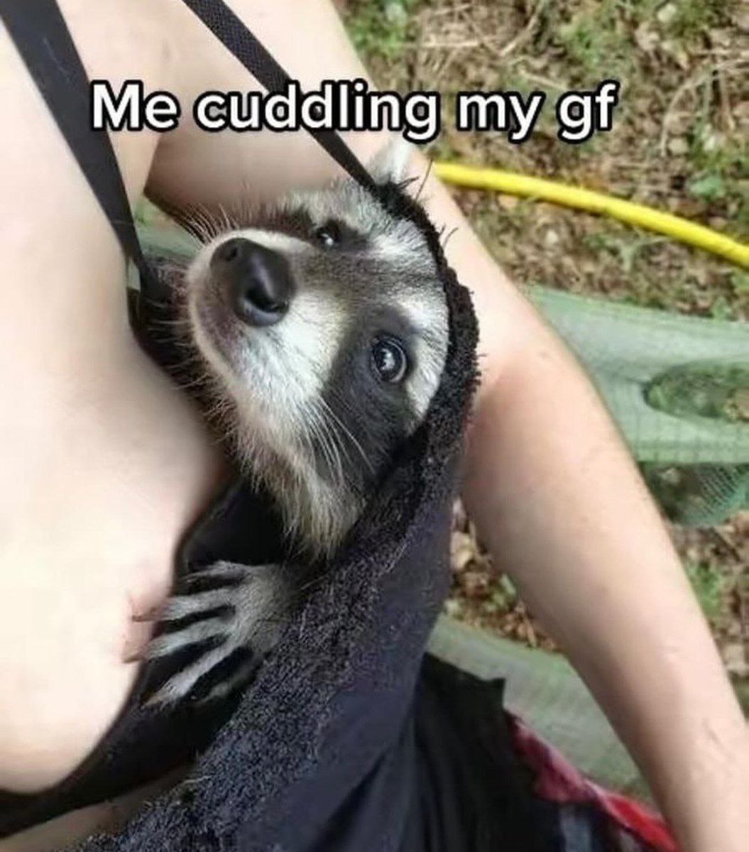 @mrsolana69 $PEDRO 
i bet you one sol 

try it